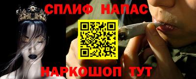 молекула духа Донецк