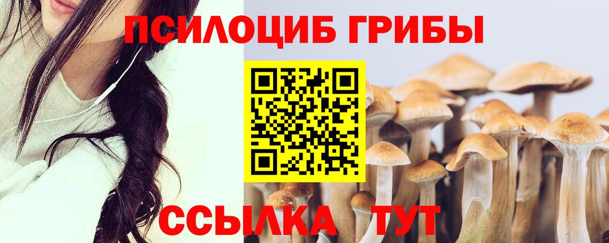 Междуреченск  Псилоцибиновые грибы Psilocybe  Галлюциногенные грибы мухоморы  Вход с VPN 