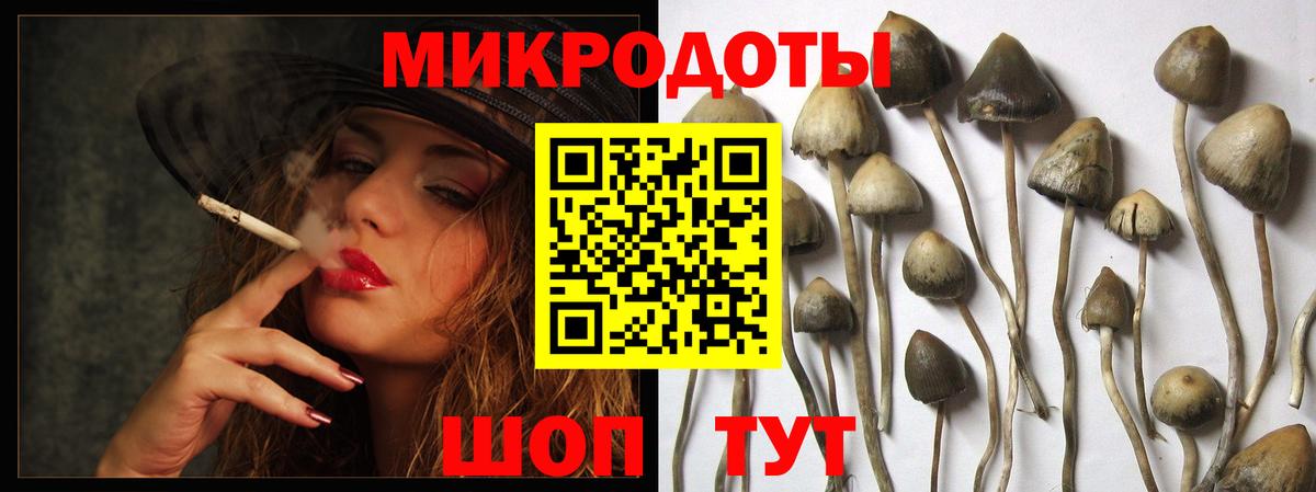 Галлюциногенные грибы ЛСД Междуреченск