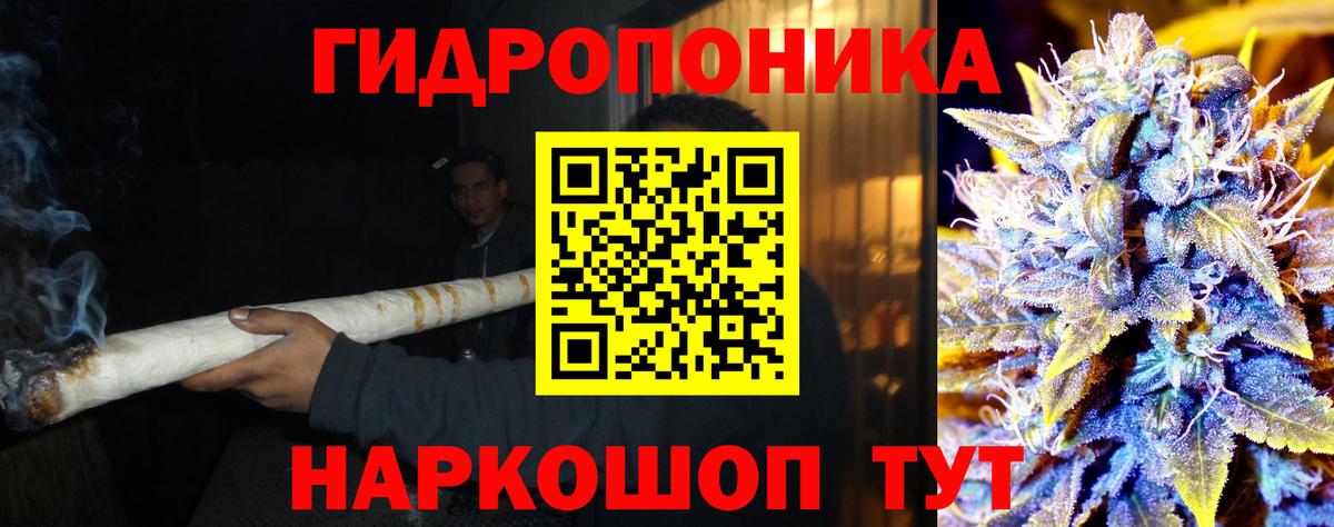 Шишки марихуана White Widow Междуреченск